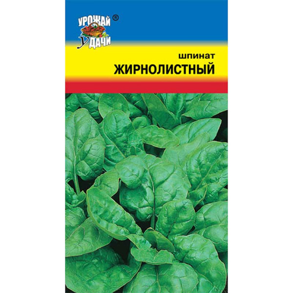 Шпинат Жирнолистный Урожай у дачи Ц