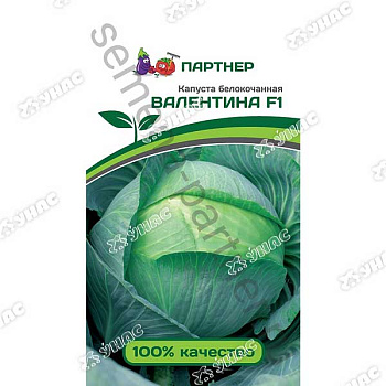 Капуста Валентина Партнер Ц