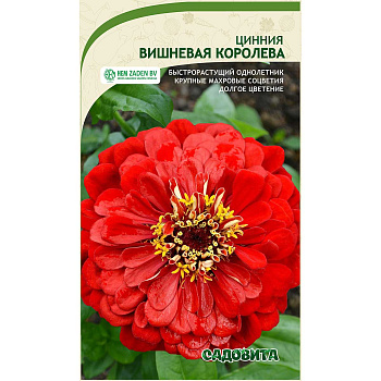 Циния Вишневая королева 0,3гр Садовита Ц 