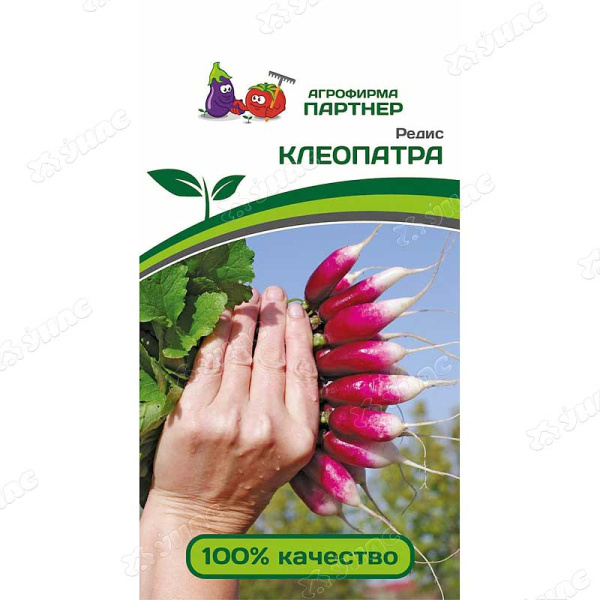 Редис Клеопатра Партнер Ц