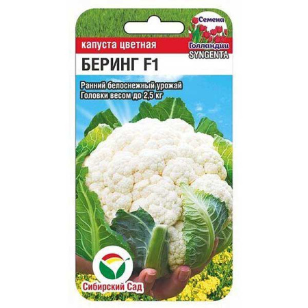 Капуста цветная Беринг СибСад