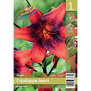 Лилия Строберри Евент 12/14 1 Эконом шт