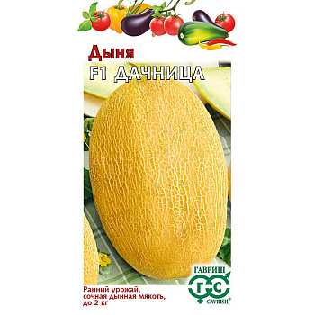 Дыня Дачница Гавриш Ц