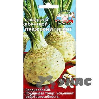 Сельдерей Пражский гигант Седек Ц