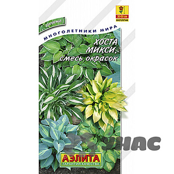 Хоста Микси смесь Аэлита Ц 