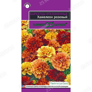 Бархатцы Хамелеон розовый Гавриш Ц 