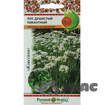 Лук душистый Пикантный НК Ц