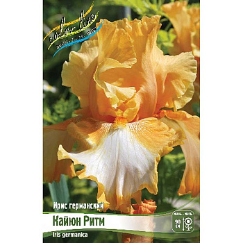 Ирис Германский Кайюн Ритм I 25 шт Биг-пак 5405
