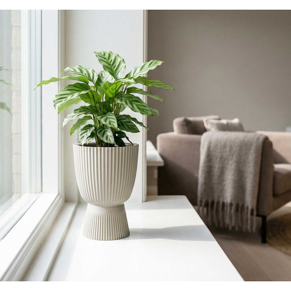 Кашпо ВЕЛЬВЕТ D150мм 1л со вставкой Кремовый М3268 х10 