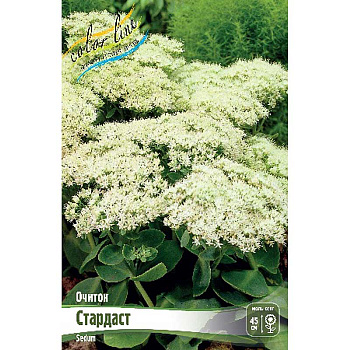 Очиток Стардаст I 1 шт