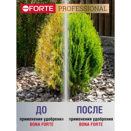 Бона Форте 100 гр для хвойных х10/30 
