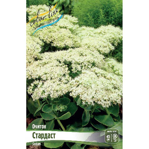 Очиток Стардаст I 1 шт