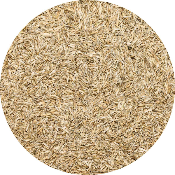 Травосмесь "Газон Канада Супер Грин" 0,5кг САДОВИТА