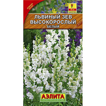 Львиный зев Высокорослый белый Аэлита Ц 