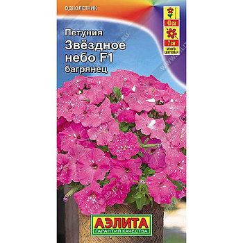 Петуния Звездное небо багрянец Аэлита Ц х10 