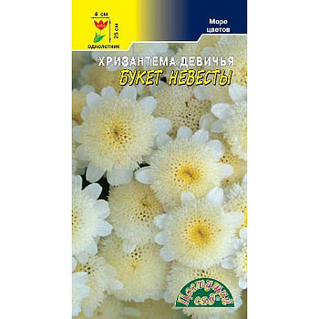 Хризантема Букет Невесты Девичья ЦветСад Ц 