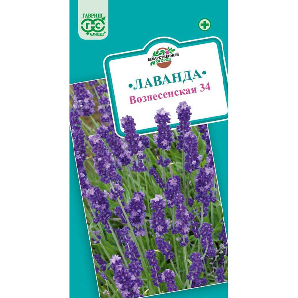 Лаванда Вознесенская Гавриш Ц