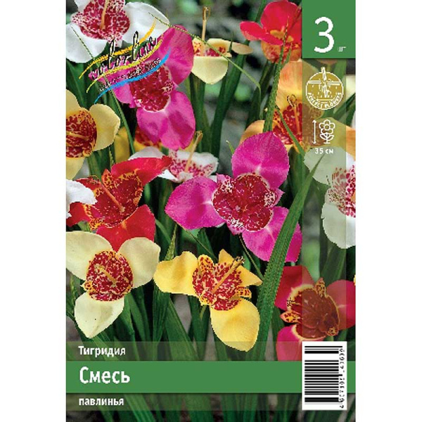 Тигридия Смесь 7/9 3 Эконом шт 