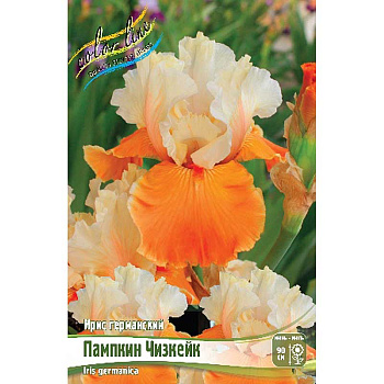 Ирис Германский Пампкин Чизкейк I 25 шт Биг-пак 6907