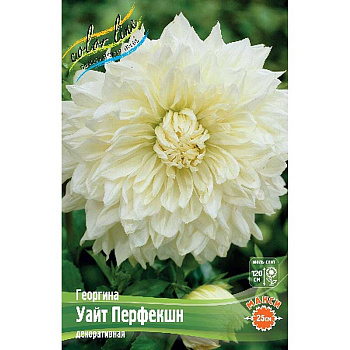 Георгина Уайт Перфекшн I 15 шт Шоу-бокс 8933