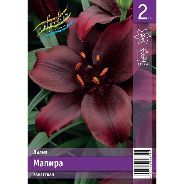 Лилия Мапира 12/14 2 Эконом шт 