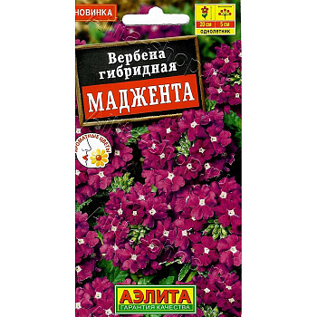 Вербена Маджента Аэлита Ц 