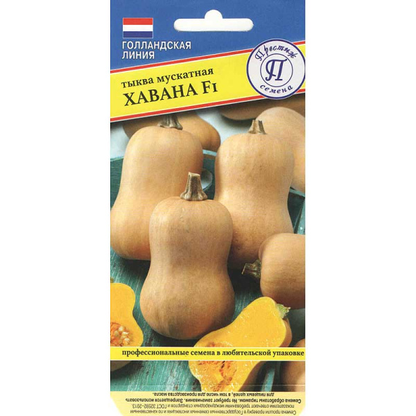 Тыква Хавана Престиж Ц