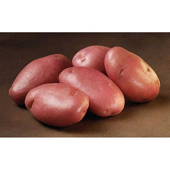 Картофель Сарпомира Суперэлита (коробка 25кг +/-5%)