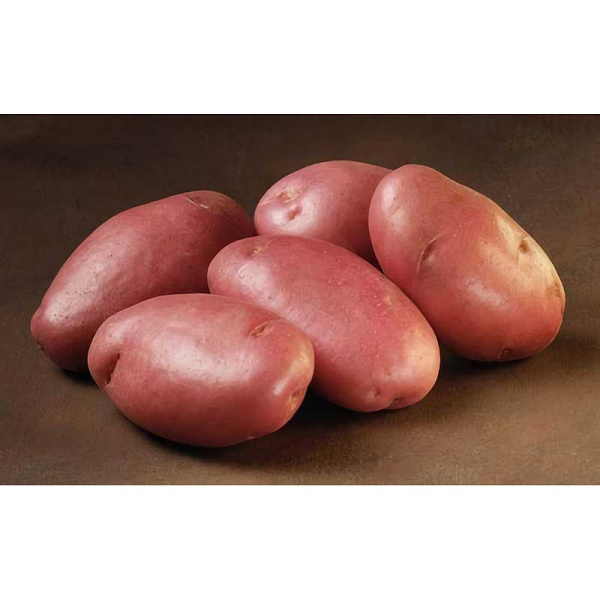 Картофель Сарпомира Суперэлита (коробка 25кг +/-5%)