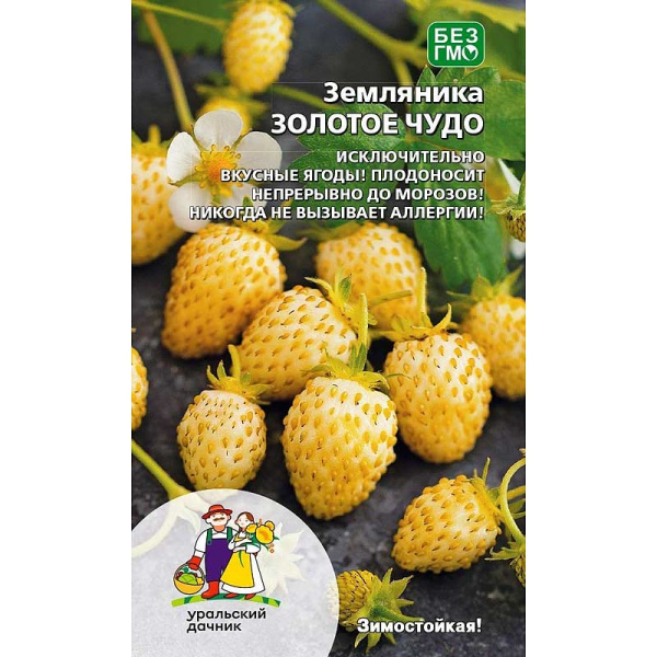 Земляника Золотое чудо Марс Ц