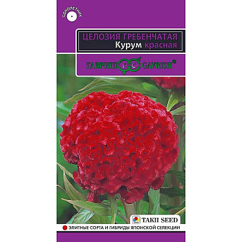 Целозия Курум красная гребенчатая Гавриш Ц 