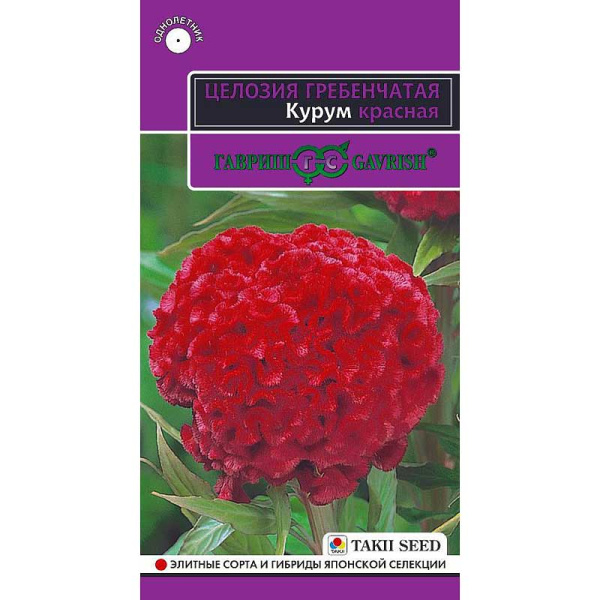 Целозия Курум красная гребенчатая Гавриш Ц 