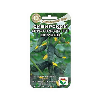 Огурец Сибирский Экспресс СибСад Ц