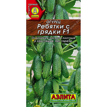 Огурец Ребятки с грядки Аэлита Ц