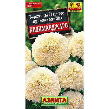Бархатцы Килиманджаро Аэлита Ц 