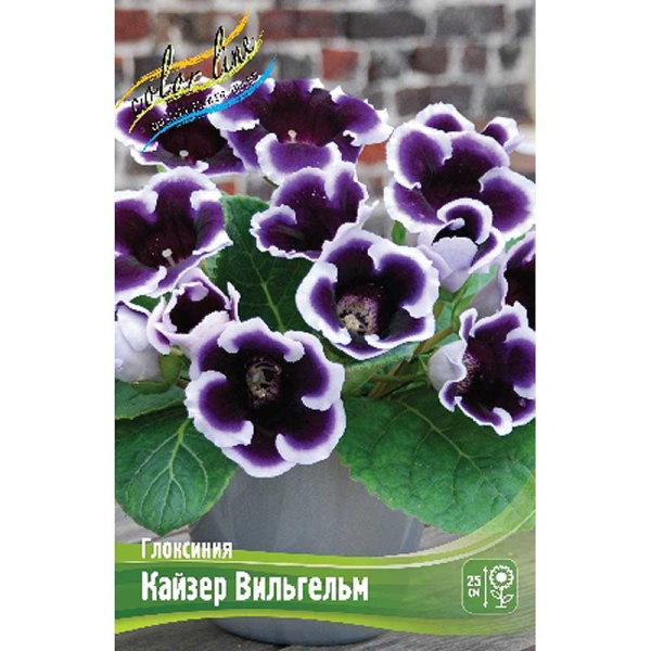 Глоксиния Кайзер Вильгельм 5/6 50 шт Шоу-Бокс 8878