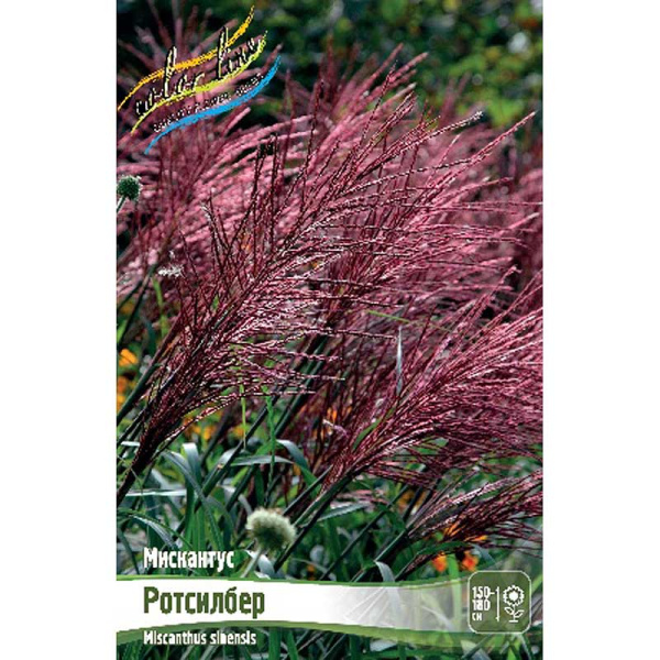 8258 Биг-Пак Мискантус Ротсилбер 2/3 25 шт