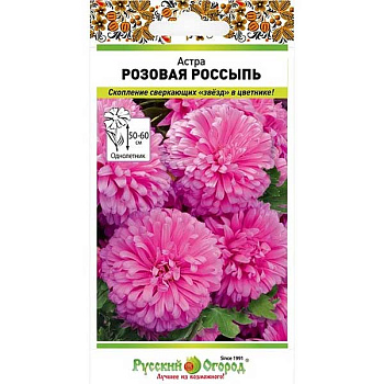 Астра Розовая россыпь НК 