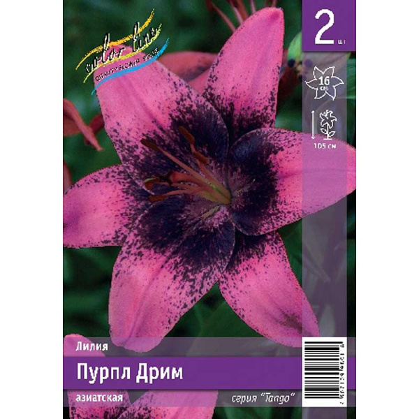 Лилия Пурпл Дрим 12/14 2 Эконом шт