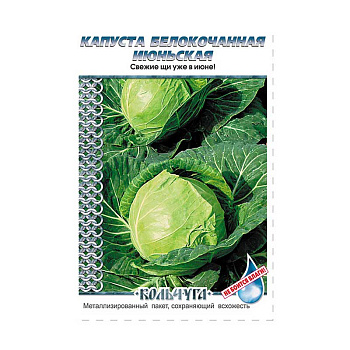 Капуста Июньская "Кольчуга" НК