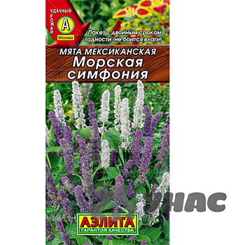 Мята Морская симфония Аэлита Ц