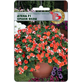 Бальзамин Валлера Атена Оранж Флеш Биотехника Ц 