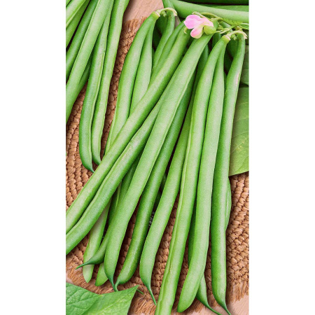 Фасоль Вердигон 10шт Syngenta/Садовита Ц