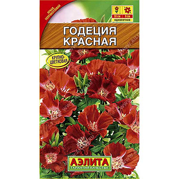 Годеция красная Аэлита Ц 