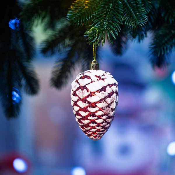 Шар 25ES04V-220 4шт 10см Шишки/Желуди красные с бел. блестками