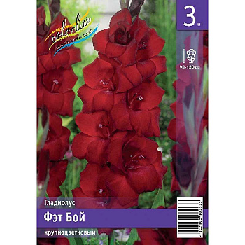Гладиолус Фэт Бой 10/12 3 Эконом шт 
