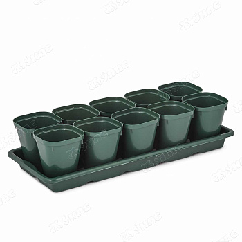 Набор для рассады 10 стакан(0,3л)+поддон БШ8236х10 