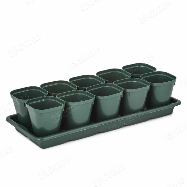 Набор для рассады 10 стакан(0,3л)+поддон БШ8236х10 