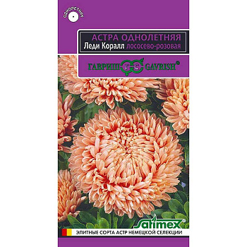 Астра Леди Корал Лососево-розов (эксклюзив) Гавриш Ц 