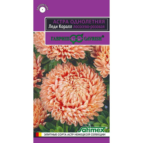 Астра Леди Корал Лососево-розов (эксклюзив) Гавриш Ц 